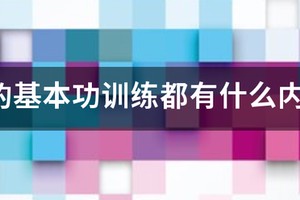 篮球基本功训练计划?
